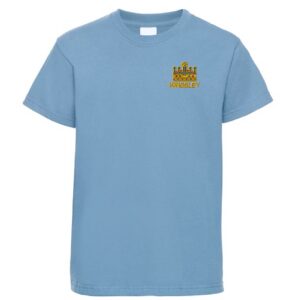 Sky Blue PE T-shirt with embroidered school logo left chest
