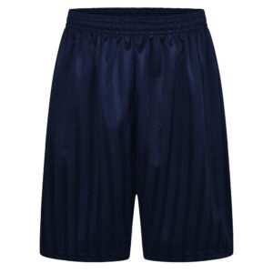 Plain Navy PE Shorts (no logo)